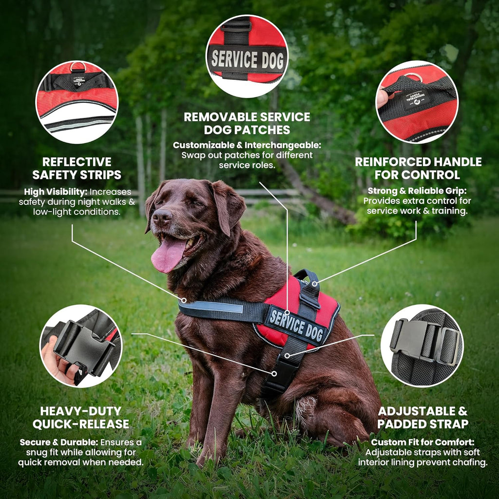 Service Dog Vest with Hook and Loop Straps & Matching Service Dog Leash Set - Harnesses from XXS to XXL - Harness Features Reflective Patch and Comfortable Mesh Design (Red, Medium)