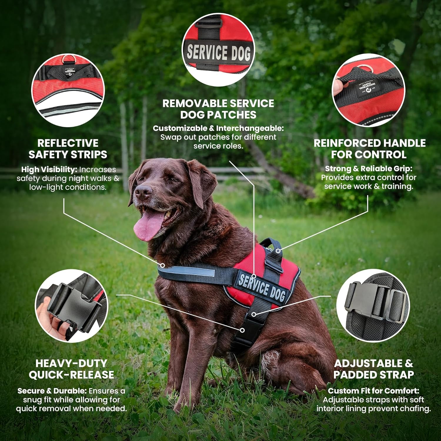 Service Dog Vest with Hook and Loop Straps & Matching Service Dog Leash Set - Harnesses from XXS to XXL - Harness Features Reflective Patch and Comfortable Mesh Design (Red, Medium)